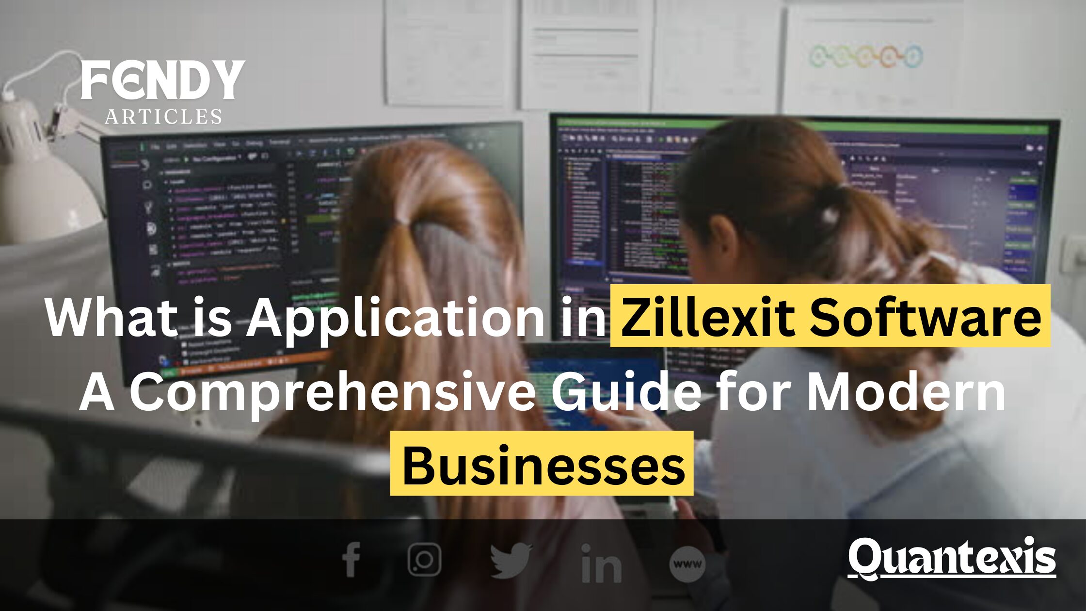 what is application in zillexit software