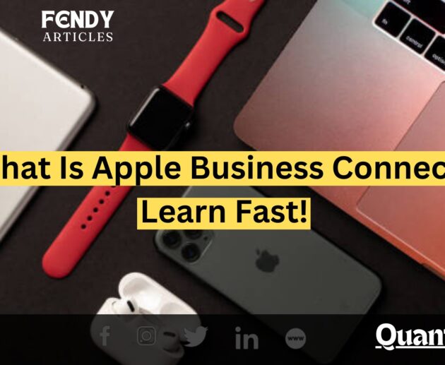 Apple Business Connect