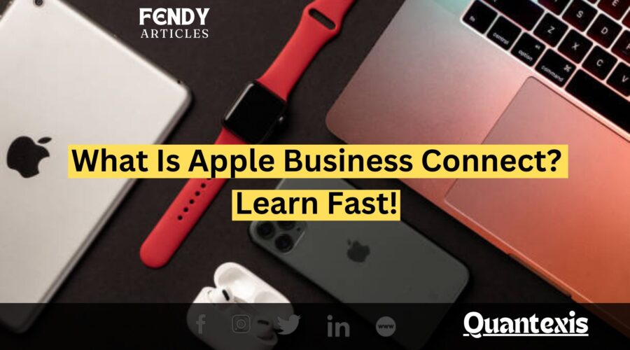 Apple Business Connect